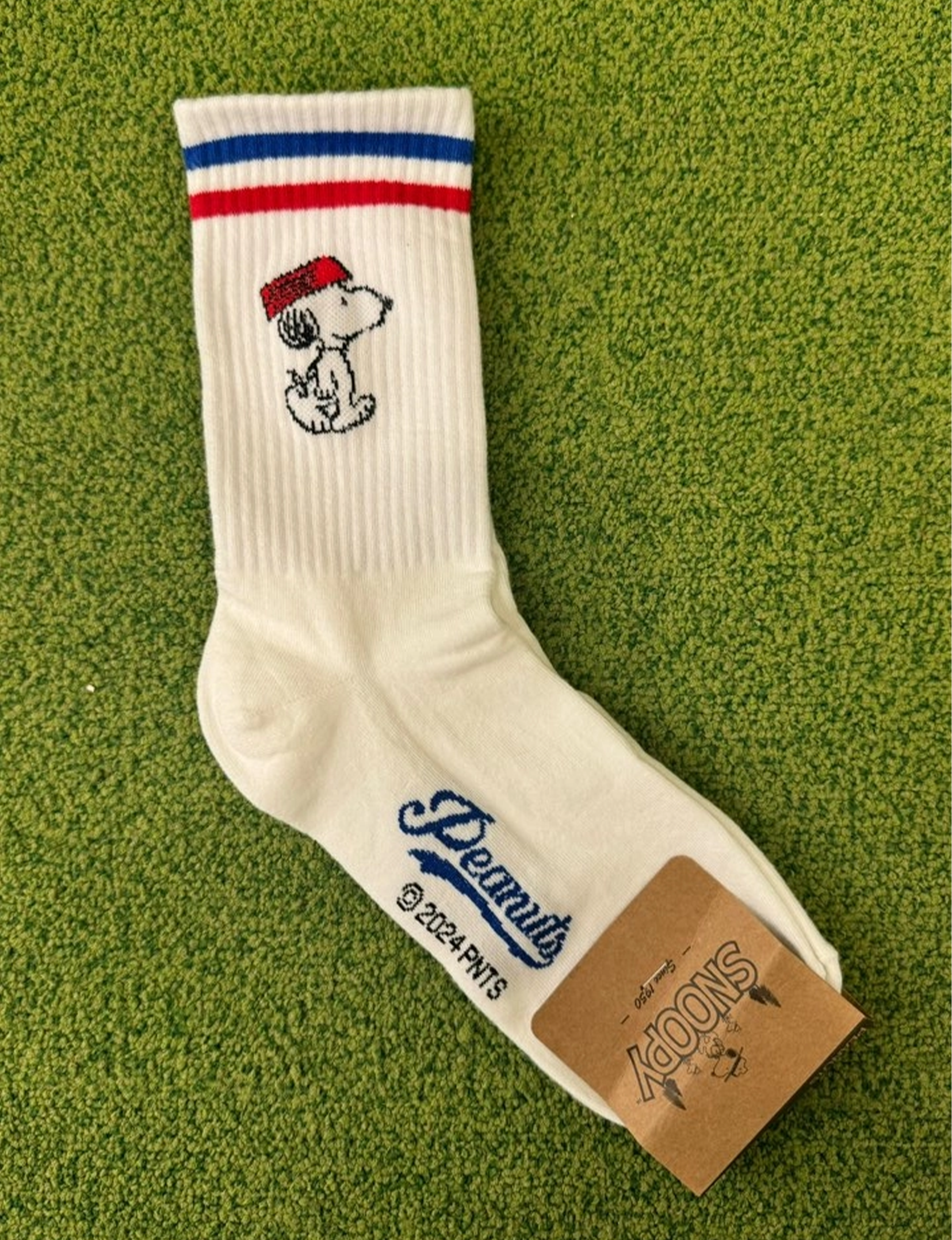 Peanuts Snoopy Socks, Dog Dish